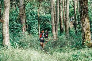 BIB: 
                            <button type="button" onclick="openModal(25236995)" class="btn btn-primary btn-sm float-right btn-popup" data-toggle="modal" data-target=".modal-high-quality">
                        <i class="fas fa-shopping-cart"></i> Add to Cart
                    </button>
                                            <button type="button" onclick="isThisMe(25236995, true)" class="btn btn-success btn-sm float-right btn-popup btn-isme hidden" data-toggle="tooltip" data-placement="bottom" title="นี่คือรูปของคุณใช่ไหม คลิกที่นี่เพื่อเอาเข้าอัลบั้ม">
                        <i class="fas fa-plus"></i> Add to album
                    </button>
                    <button type="button" onclick="isThisMe(25236995, false)" class="btn btn-warning btn-sm float-right btn-popup btn-isnotme hidden">
                        <i class="fas fa-ban"></i> Remove from album
                    </button>